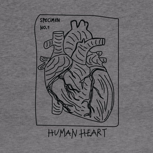 Human Heart by DreixLord